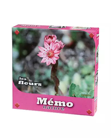 Mémo Fleurs - Jeu FK