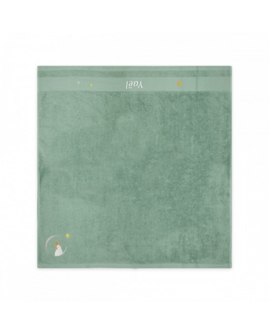 Serviette Pingouin Vert - 100X100 - Personnalisable