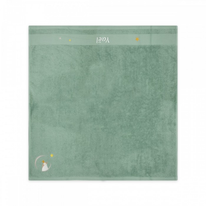 Serviette Pingouin Vert - 100X100 - Personnalisable