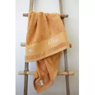 Serviette Chat Caramel - 100X100 - Personnalisable