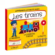 Q-Box - Les Trains - Puzzle 40 Pièces SASSI Avec 3 Silhouettes Et Livre