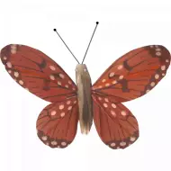 Papillon En Liberté Animé Par la Lumière