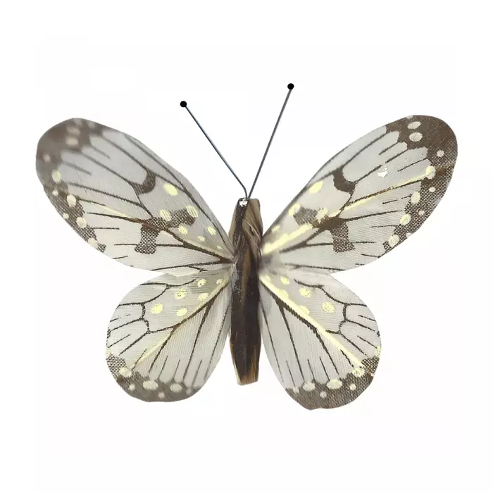 Papillon En Liberté Animé Par la Lumière