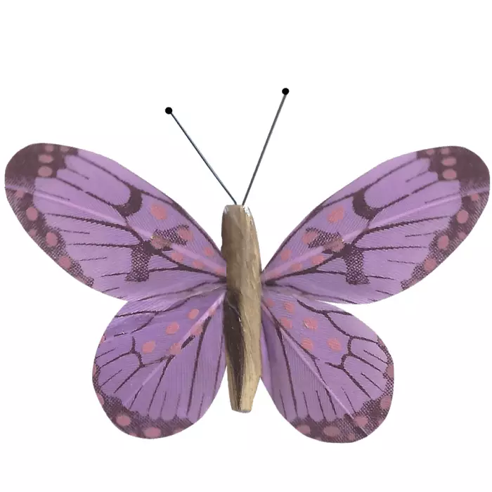 Papillon En Liberté Animé Par la Lumière