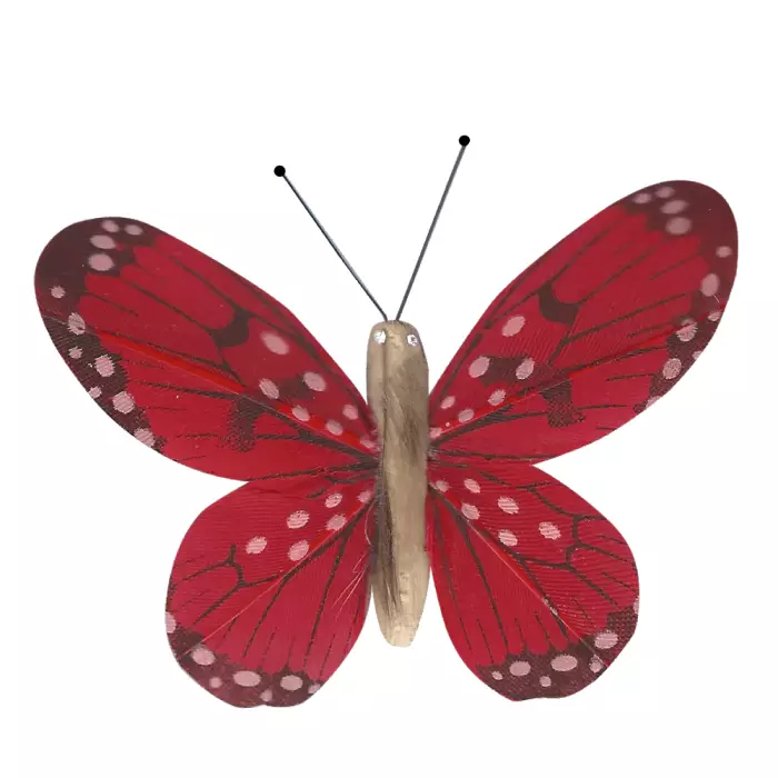 Papillon En Liberté Animé Par la Lumière