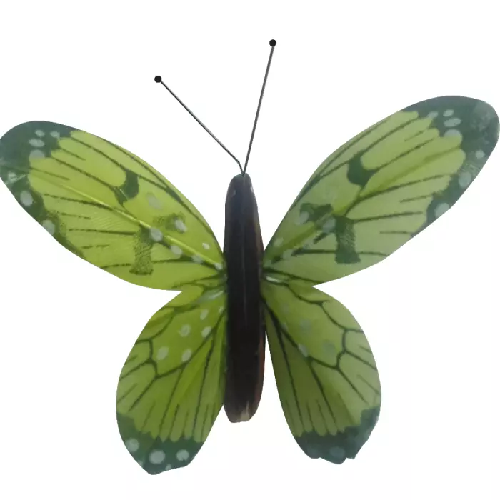 Papillon En Liberté Animé Par la Lumière