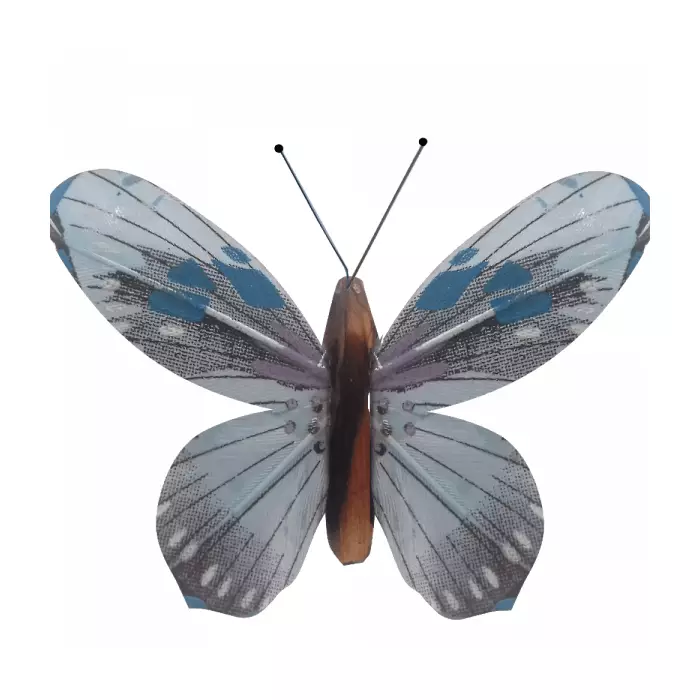 Papillon En Liberté Animé Par la Lumière