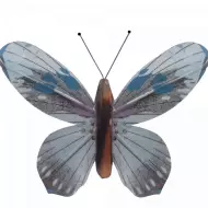 Papillon En Liberté Animé Par la Lumière