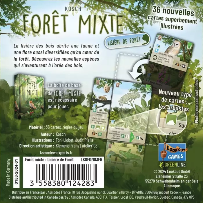 Forêt Mixte : Lisière De Forêt (Ext.)