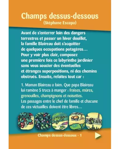 Cartzzle – Champs Dessus-Dessous