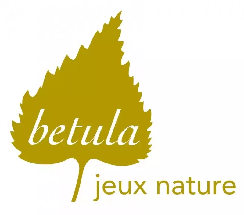 Betula